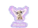 Angel Dog Alexandra