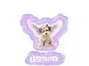 Angel Dog Heather