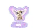 Angel Dog Tito