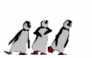 Dancing Penguins