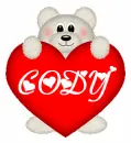 Bear with the name cody