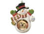 a cute pup