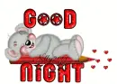 good night