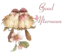 Good Afternoon Birds