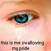 swallowing my pride saying i'm sorry for that night..
