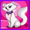 Kitty Kat