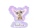 Angel Dog Andrea