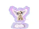 Angel Dog Pami
