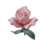 Rose- Pink Rose - Glittery Pink Rose