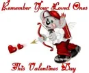 CREDDY BEAR