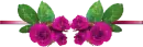 rosas