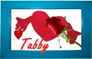 Tabby