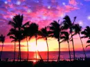 BEAUTIFUL PURPLE OCEAN SUNSET TWINKLING STARS