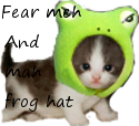 Kittieh and da frog