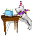 happy birthday dog