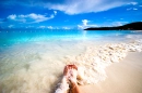 summer