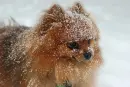 cute