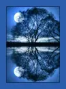 blue moon