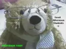 MR TEDDY 