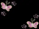 Sparkling Butterflies