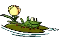 frog