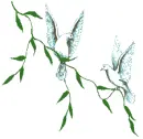 doves