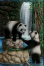 panda