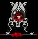 doves
