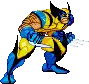 wolverine
