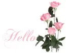 Hello