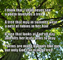 Tree poem