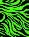 Green zebra print 2