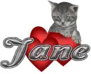 valentine kitten Jane