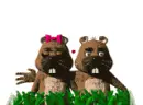 gophers in love