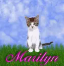 Marilyn