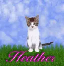 Heather