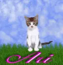 Ari