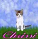 Chrissi