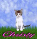 Christy