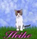Heike