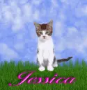 Jessica