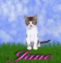 Jane