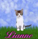 Liane