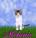 Mel