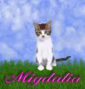 Migdalia