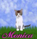 Monica