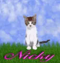 Nicky