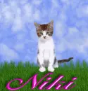 Niki