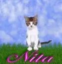 Nita