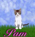 Pam